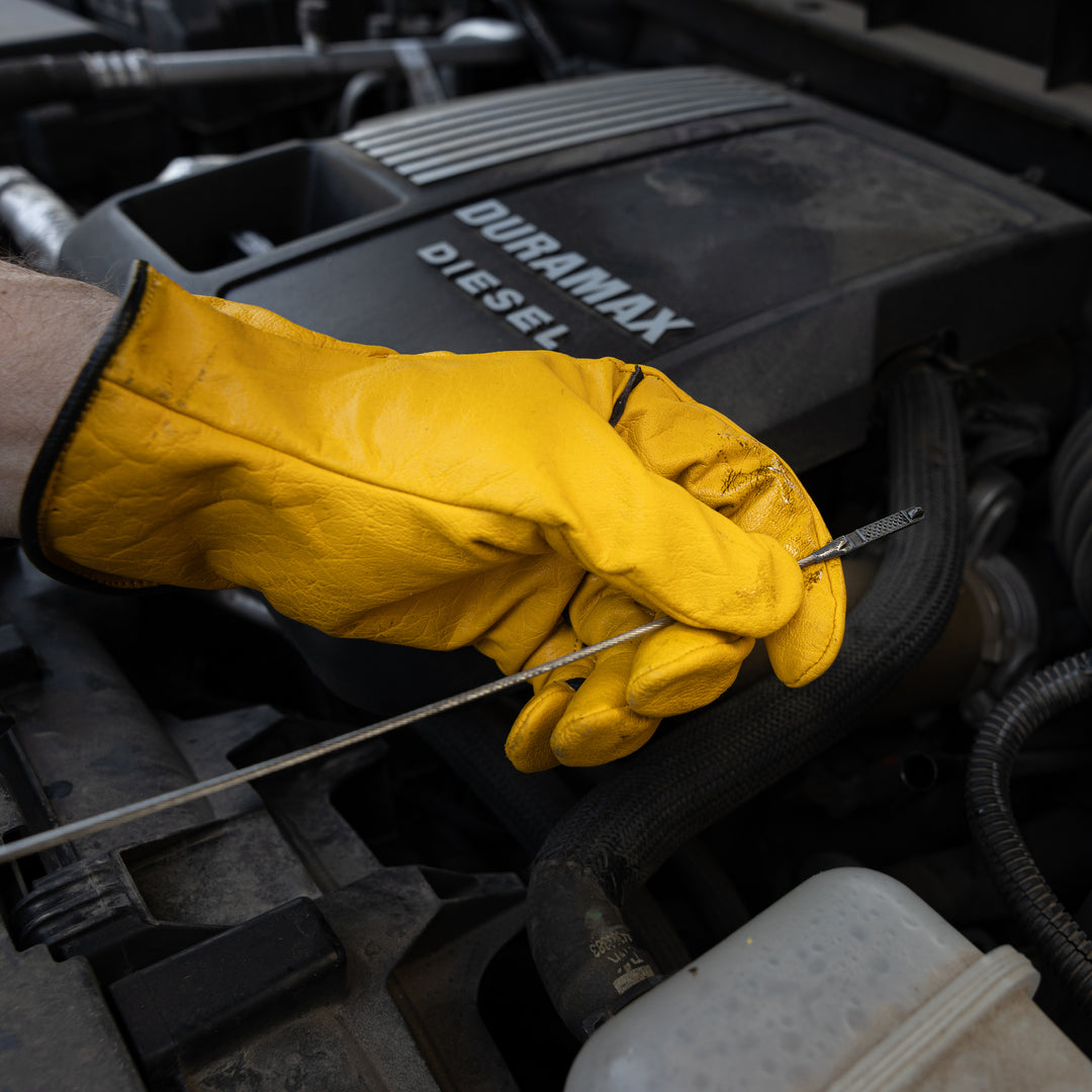 Yellow Jacket - D367 – Bear Knuckles